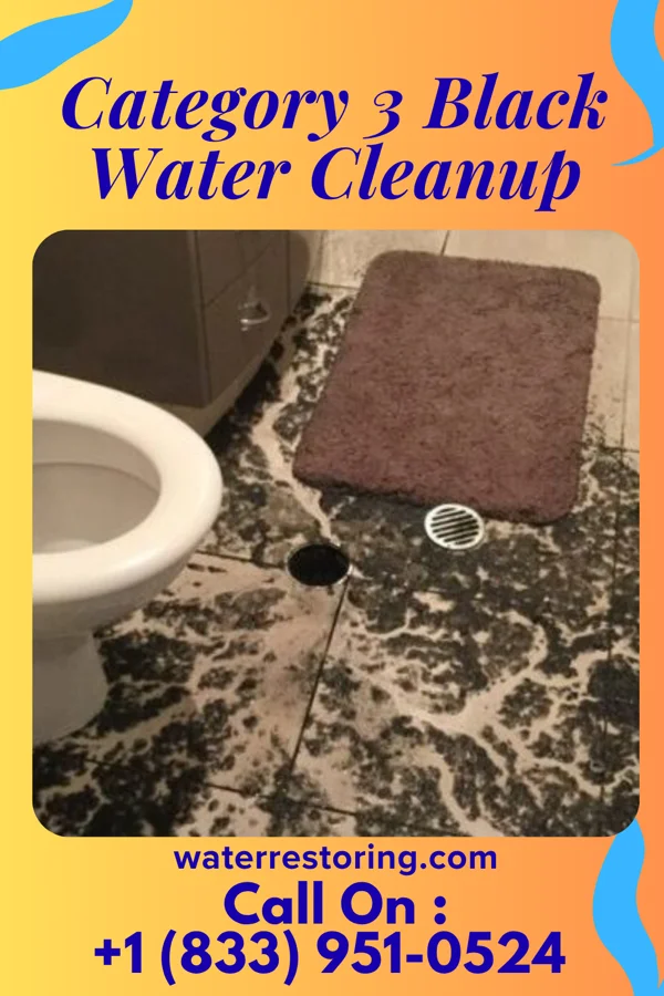 Category 3 Black Water Cleanup in Wewahitchka, FL