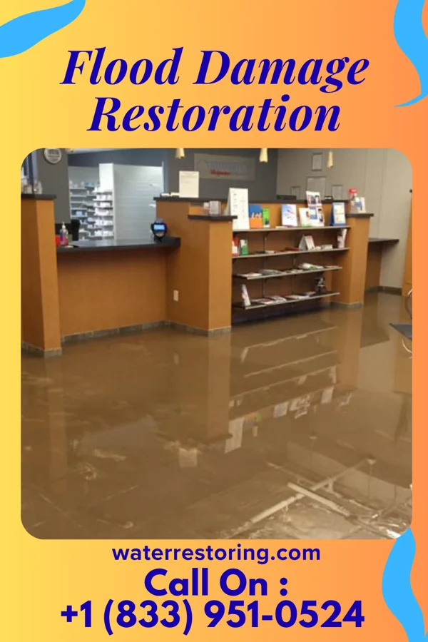Flood Damage Restoration in Wewahitchka, FL