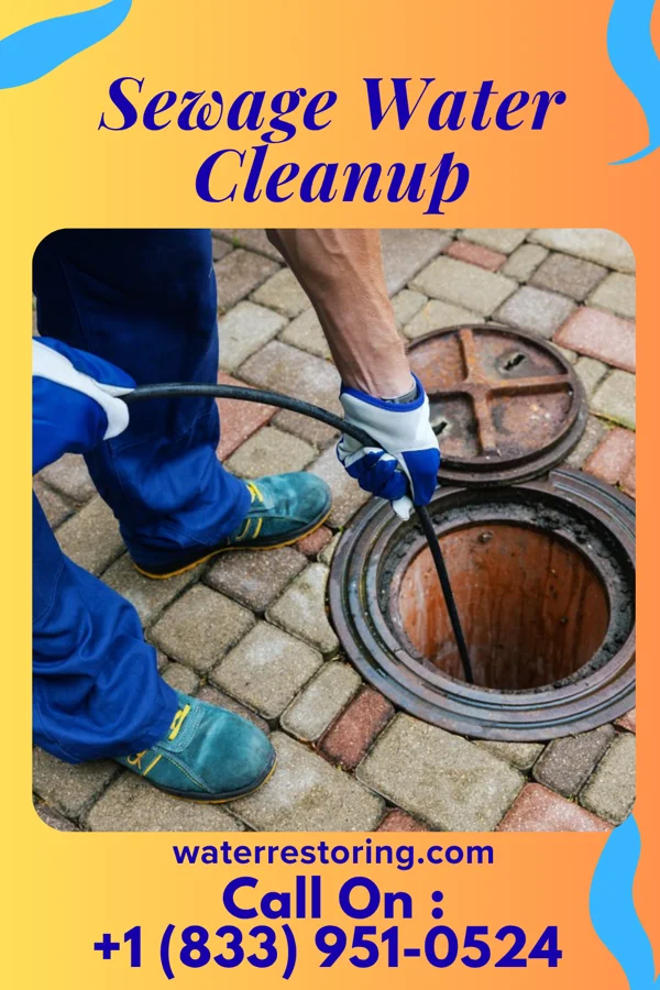 Sewage Water Cleanup in Wewahitchka, FL